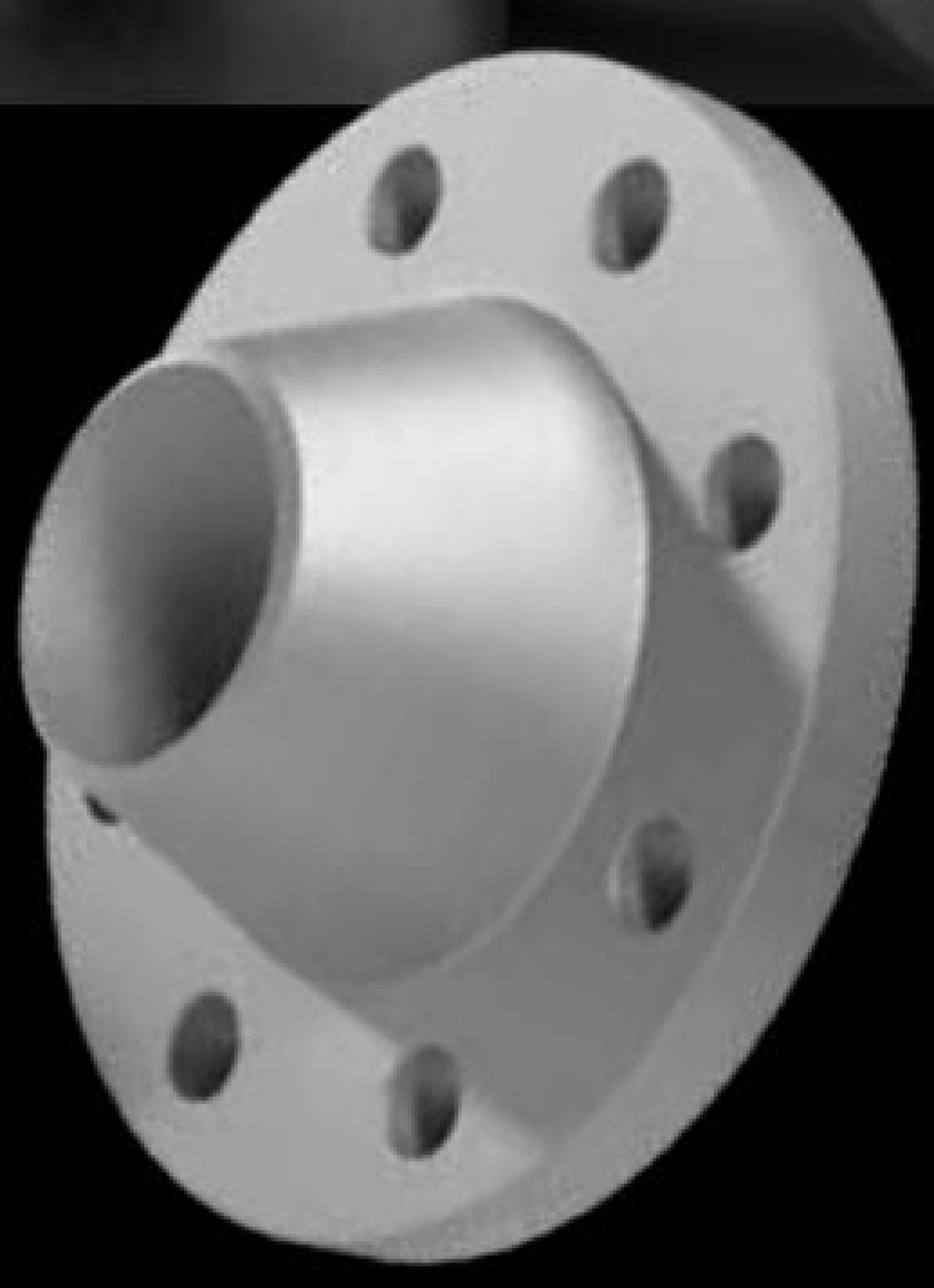 Bottoms/Plugs/ Flanges 
